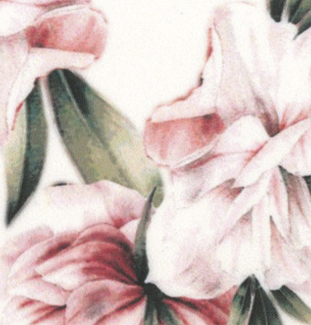 Podprsenka Lormar Gardenia Mousse