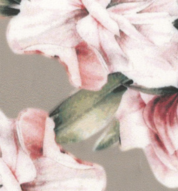 Podprsenka Lormar Gardenia Mousse